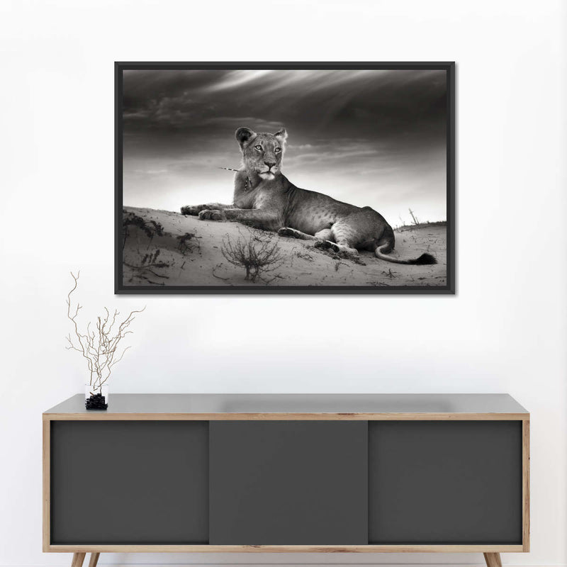 Lioness Wall Art
