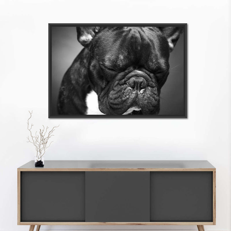 Melancholic French Bulldog Wall Art