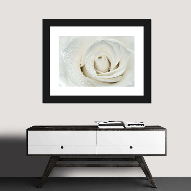 White Rose Close Up Wall Art