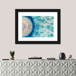 Jellyfish Details Wall Art