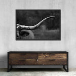 Texas Longhorn Cattle Wall Art