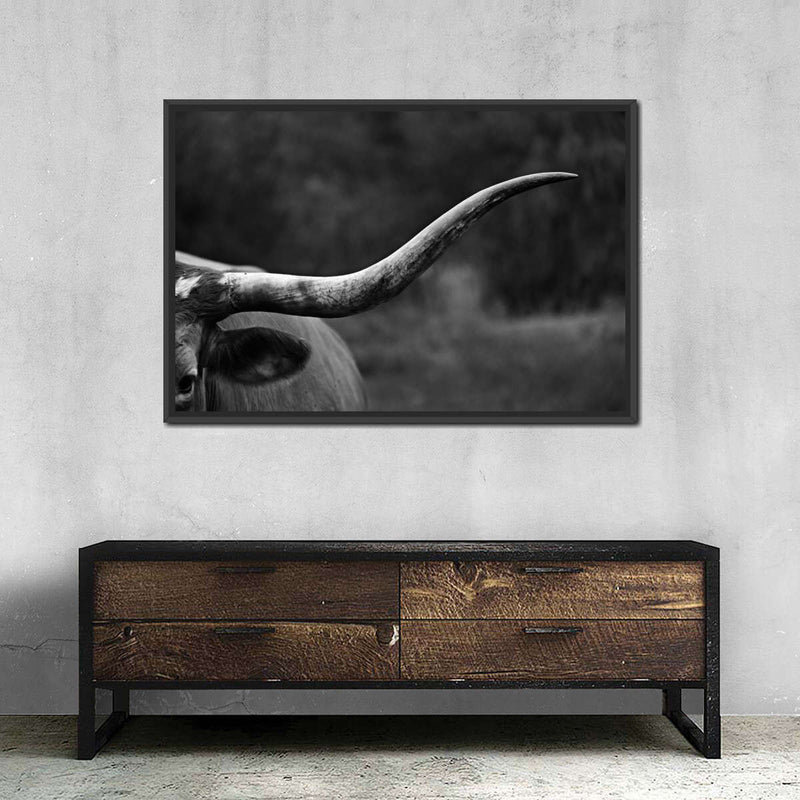 Texas Longhorn Cattle Wall Art