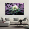 Rare Cannabis Plant Wall Art