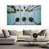 Plane Below Palm Trees Wall Art