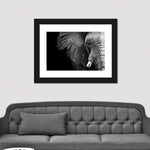 Wise Elephant Wall Art