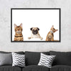 Pug And Cats Wall Art