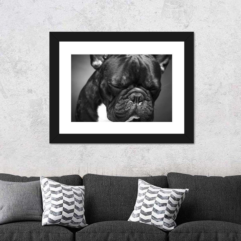 Melancholic French Bulldog Wall Art