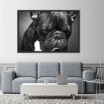 Melancholic French Bulldog Wall Art