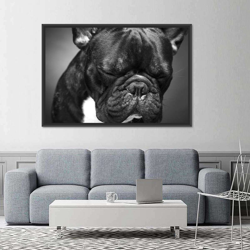 Melancholic French Bulldog Wall Art