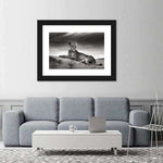 Lioness Wall Art
