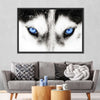 Husky's Eyes Wall Art