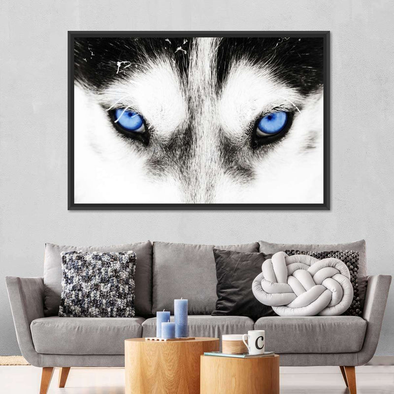 Husky's Eyes Wall Art