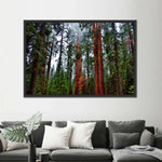 Vibrant Redwood Wall Art