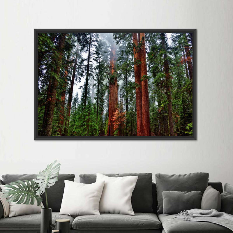 Vibrant Redwood Wall Art