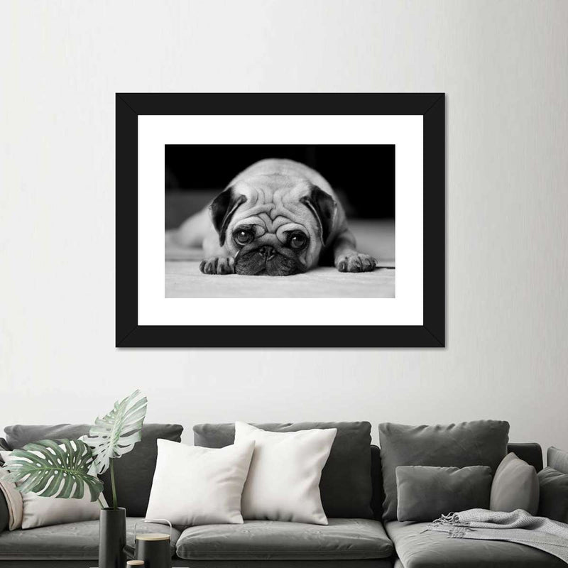 Sad Pug Wall Art