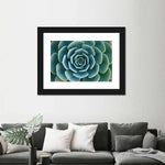 Live Succulent Wall Art