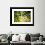 Tree Top Wall Art