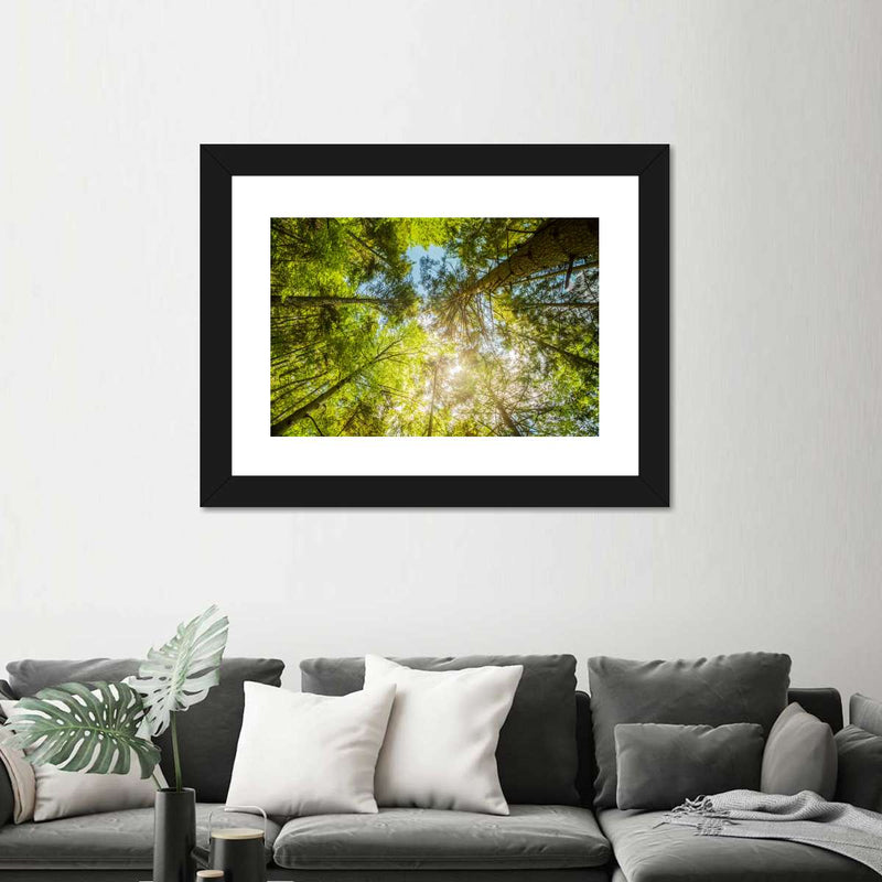 Tree Top Wall Art