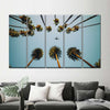 Plane Below Palm Trees Wall Art