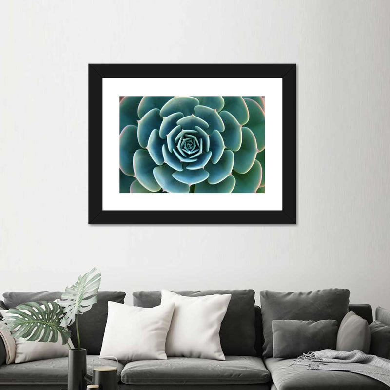 Live Succulent Wall Art