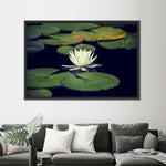 Lotus And Leaves Wall Art