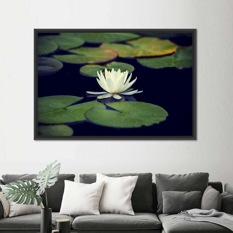 Lotus And Leaves Wall Art