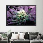 Rare Cannabis Plant Wall Art