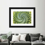 Spiral Succulent Wall Art