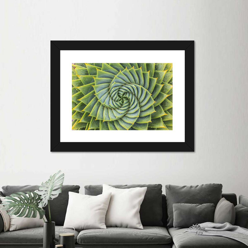 Spiral Succulent Wall Art