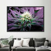 Rare Cannabis Plant Wall Art