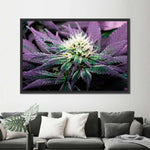 Rare Cannabis Plant Wall Art