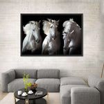 Three White Horses Wall Art