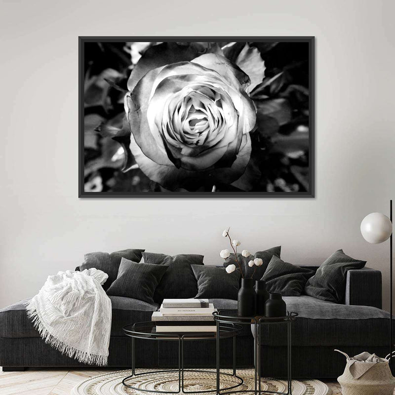 Monochromatic Rose Wall Art