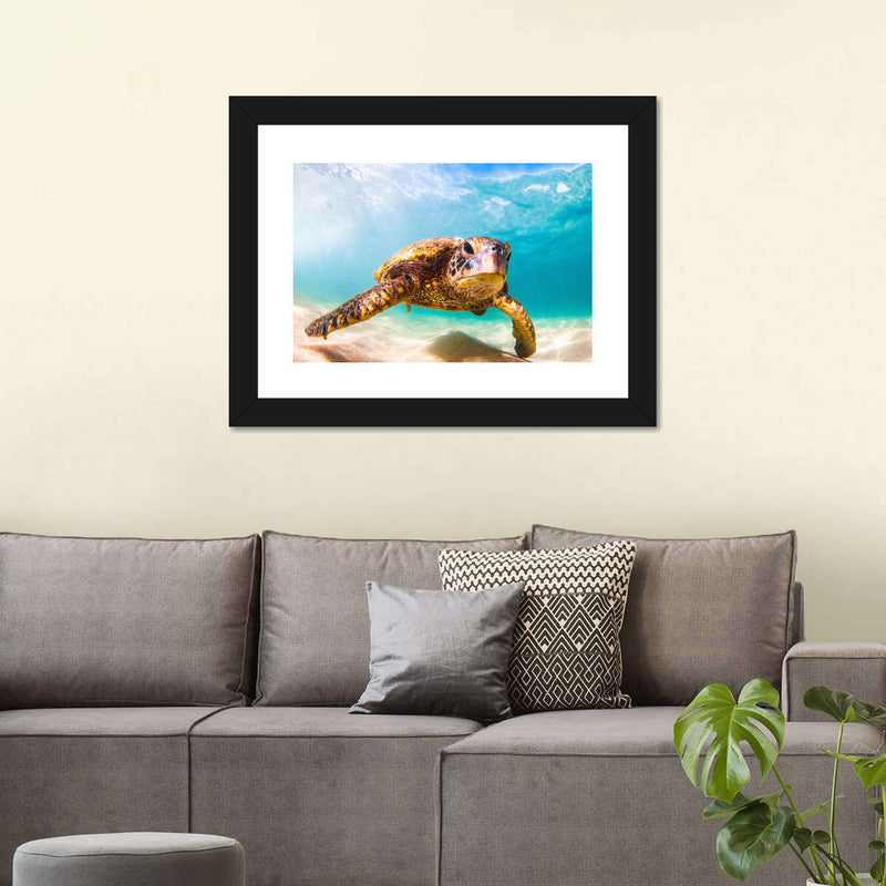 Hawaiian Turtle Wall Art