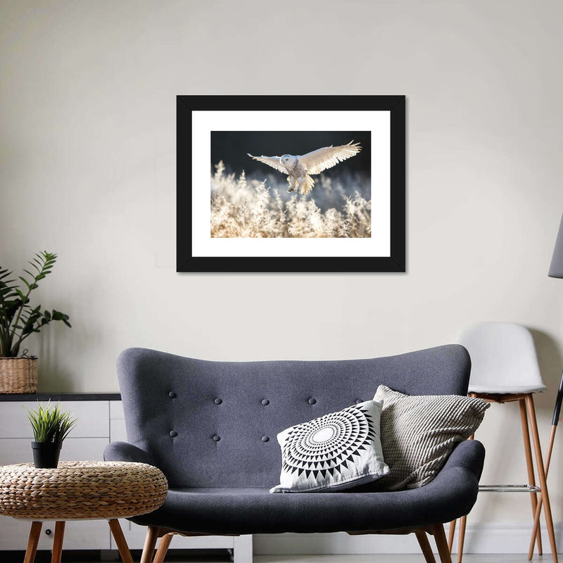 Snowy Owl Hunt Wall Art