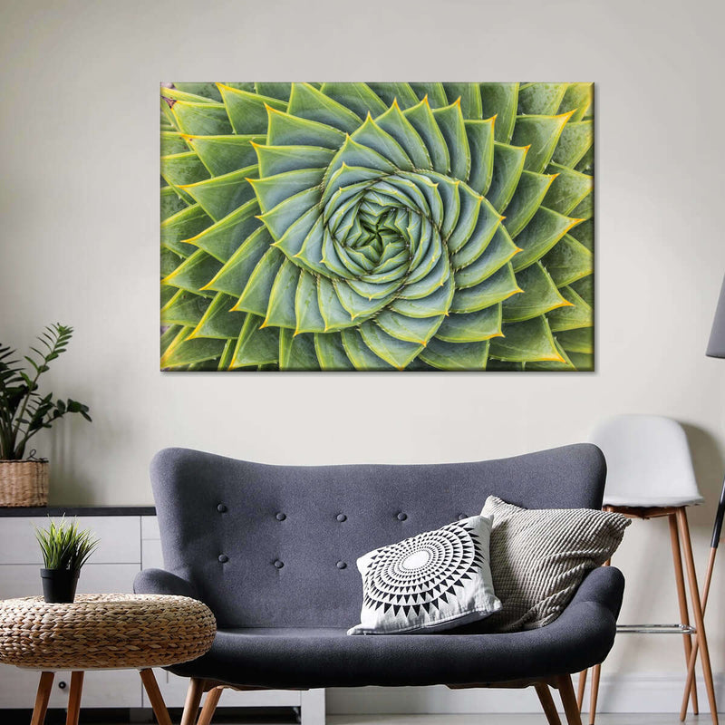 Spiral Succulent Wall Art