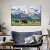 Grazing Teton Bison Wall Art