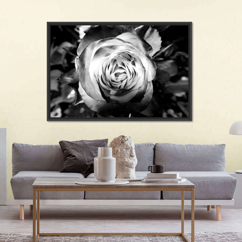 Monochromatic Rose Wall Art