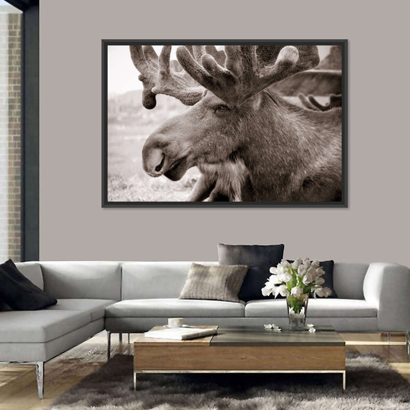 Moose Head Wall Art