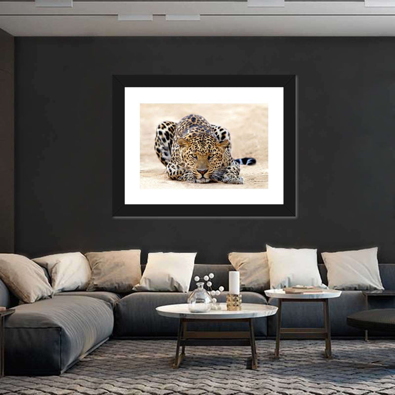 Watchful Jaguar Wall Art