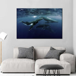 Humpback Whales Wall Art