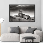Lioness Wall Art