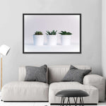 Three Succulents Wall Art