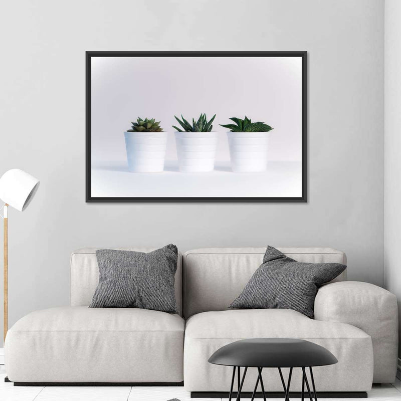 Three Succulents Wall Art