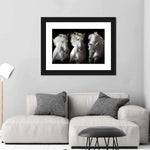 Three White Horses Wall Art