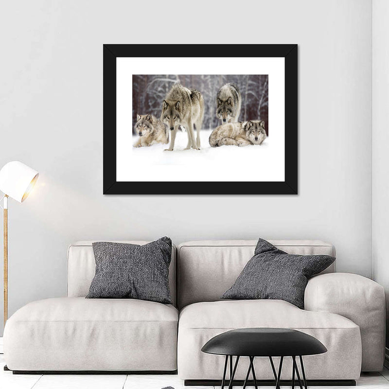 Wolf Pack Wall Art