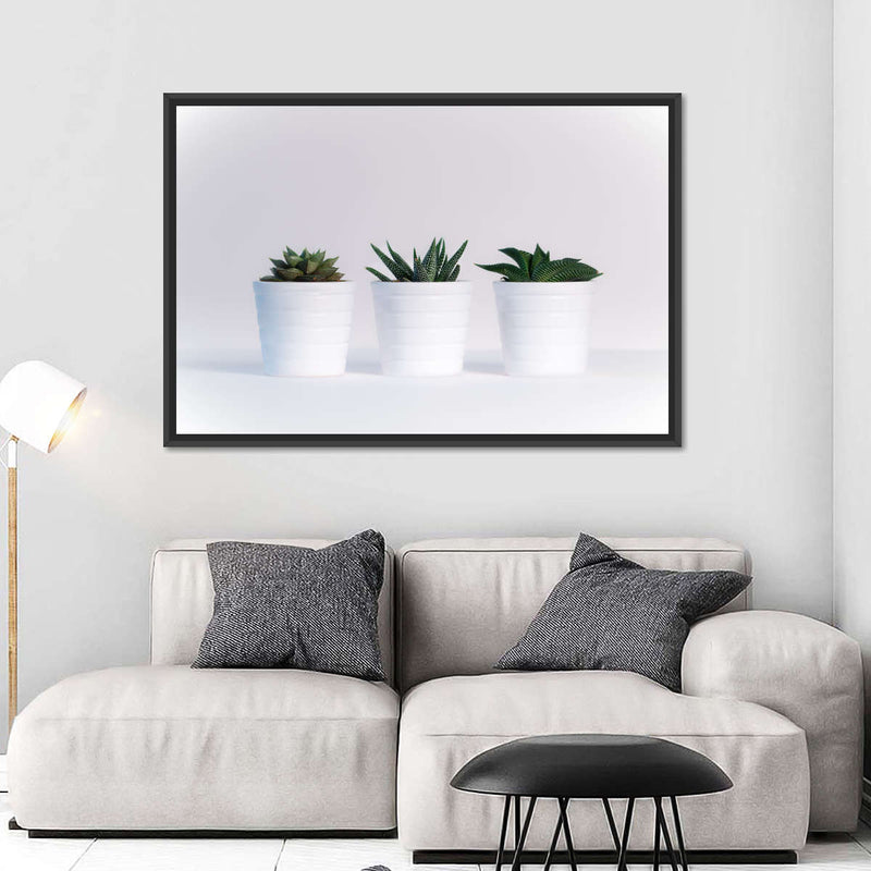 Three Succulents Wall Art