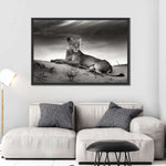 Lioness Wall Art