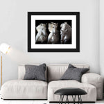 Three White Horses Wall Art