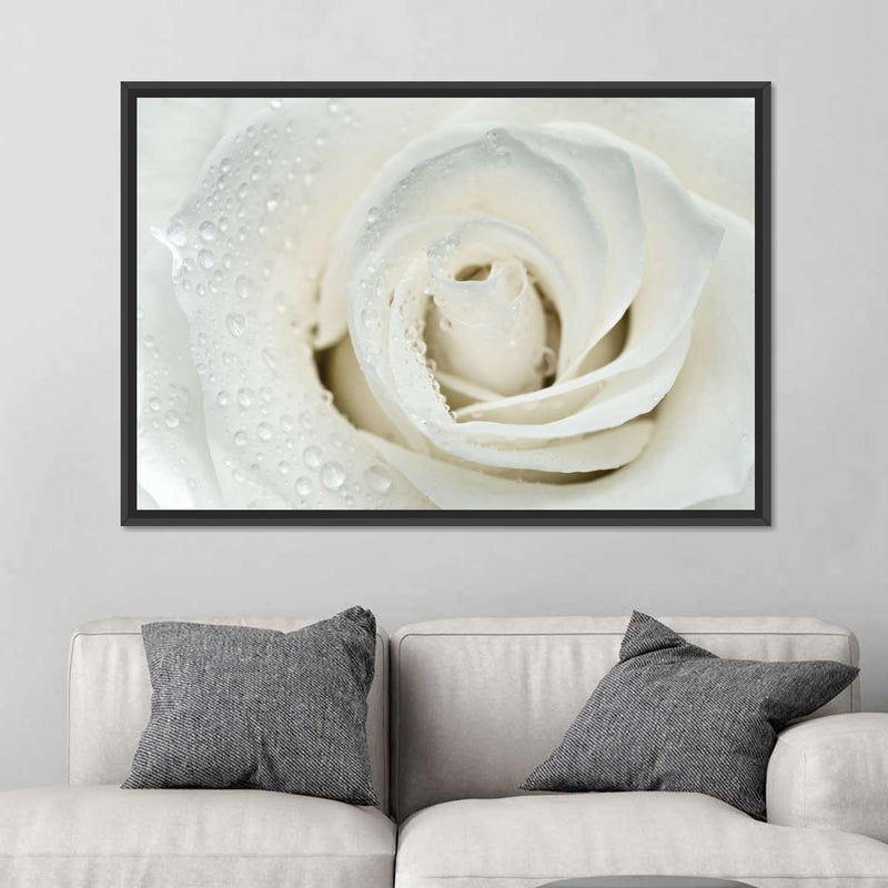 White Rose Close Up Wall Art